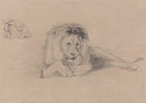 Estudio de un león y Estudio de la cabeza de una leona de John Frederick Lewis