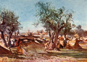Campamento Beduino Fuera del Muro Norte de Jerusalén
