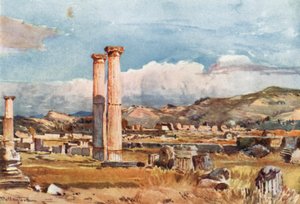 Olimpia. La Palestra y restos del Templo de Zeus de John Fulleylove