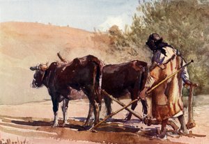 Arando en el Monte de los Olivos, 1902 de John Fulleylove
