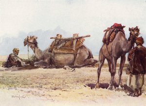 Estudio de camellos y asistentes de John Fulleylove