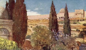 Los cipreses del Jardín de Getsemaní de John Fulleylove