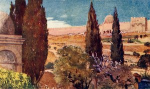 Los cipreses del jardín de Getsemaní, 1902 de John Fulleylove