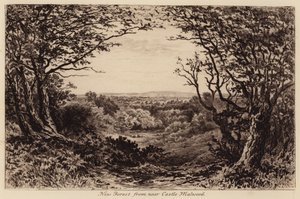 New Forest desde cerca de Castle Malwood (grabado) de John Fullwood