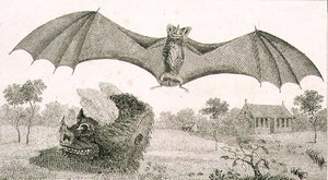 El vampiro o espectro de Guayana de John Gabriel (after) Stedman