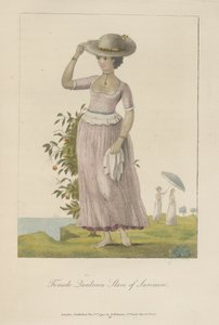 Esclava cuadrúpedo de Surinam de John Gabriel Stedman