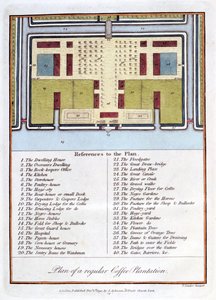 Plano de una plantación de café regular, 1813