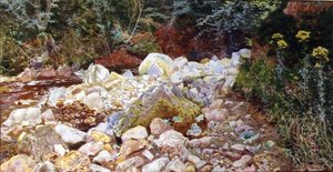 Un Arroyo Rocoso de John George Sowerby