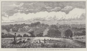 Brockwell Park, cerca de Herne Hill y Dulwich, para ser comprado para la recreación pública