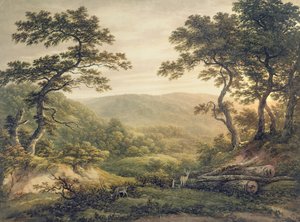 Bosque de Needlewood, Hampshire de John Glover