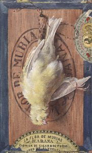 engañarlo de John Haberle