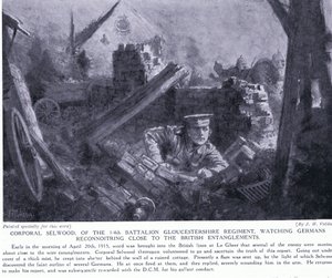 El cabo Selwood ganó un DCM por observar a los alemanes reconociendo cerca de los enredos británicos en Le Gheer abril 1915