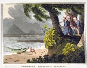 Egipcios atrapando cocodrilos, grabado por Matthew Dubourg (fl.1785-1820), publicado por Edward Orme de John Heaviside (after) Clark