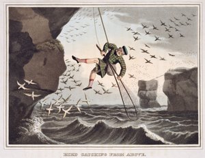 Captura de aves desde arriba, grabado por Matthew Dubourg, publicado por Edward Orme, 1813