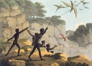 Lanzando la lanza, aborígenes cazando aves de Nueva Gales del Sur grabado por Matthew Dubourg, pub. 1813