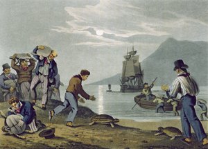 Captura de tortugas en tierra, grabado por Matthew Dubourg, publicado por Edward Orme, 1813 de John Heaviside Clark