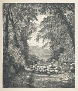 Lámina 4. Ovejas conducidas por un pastor, por un camino.  Imágenes de la naturaleza. Una serie de treinta ilustraciones originales dibujadas en madera por J. H. Dell y grabadas por R. Paterson.  Juan Enrique Dell
