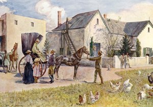 Una granja sudafricana