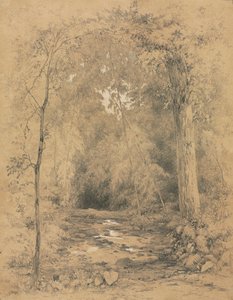 Interior del bosque, c. 1870 de John Henry Hill