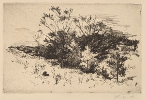 Otoño en Avondale de John Henry Twachtman