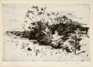Paisajismo cerca de Cincinnati de John Henry Twachtman