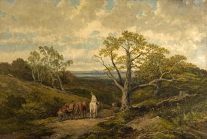 Vista en el bosque de Sherwood, Nottinghamshire de John Holland