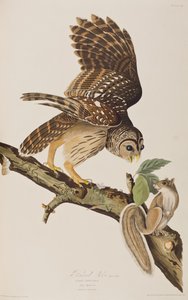 Ilustración de 
