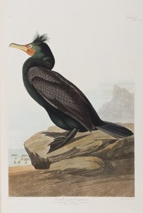 Ilustración de 