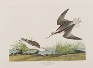 Ilustración de 