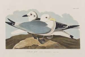 Ilustración de 