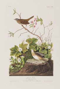 Ilustración de 