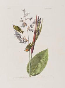 Ilustración de 