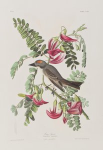 Ilustración de 