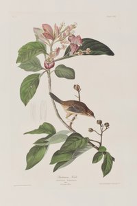 Ilustración de 