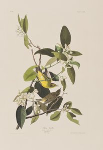 Ilustración de 