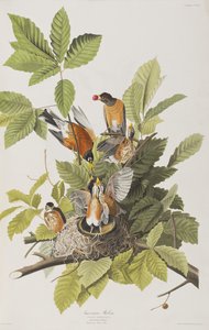 Ilustración de 