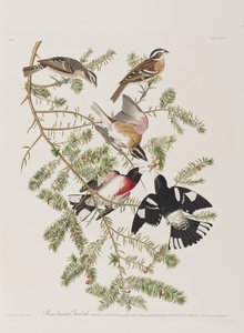 Ilustración de 