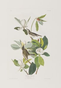 Ilustración de 