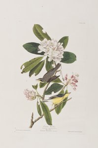 Ilustración de 
