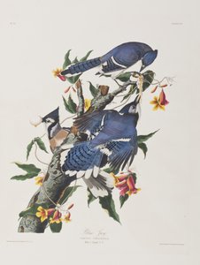 Ilustración de 