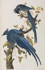 Ilustración de 