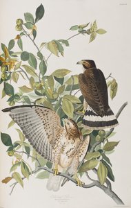 Ilustración de 