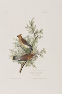Ilustración de 
