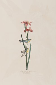 Ilustración de 