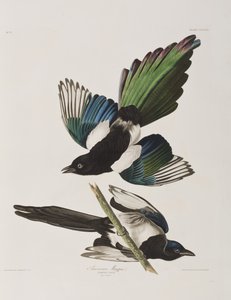 Ilustración de 