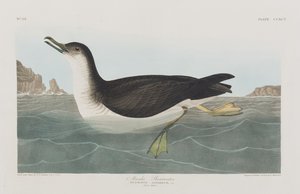 Ilustración de 