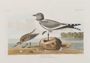 Ilustración de 