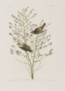 Ilustración de 