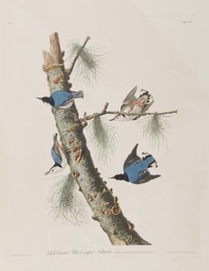 Ilustración de 