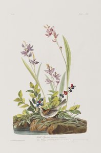 Ilustración de 